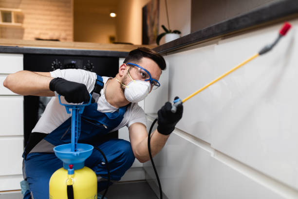 Best Rat Extermination Near Me  in Forrest, IL