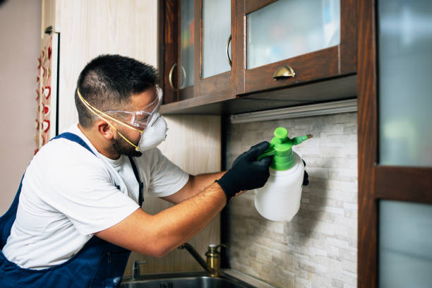 Best Termite Control Services  in Forrest, IL