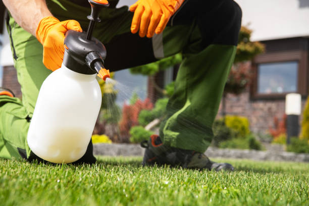 Best Best Pest Control Companies  in Forrest, IL
