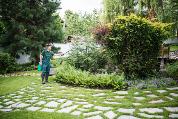 Best Pest Control Near Me  in Forrest, IL