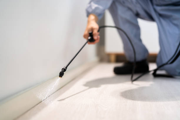 Best Pest Control Treatment  in Forrest, IL
