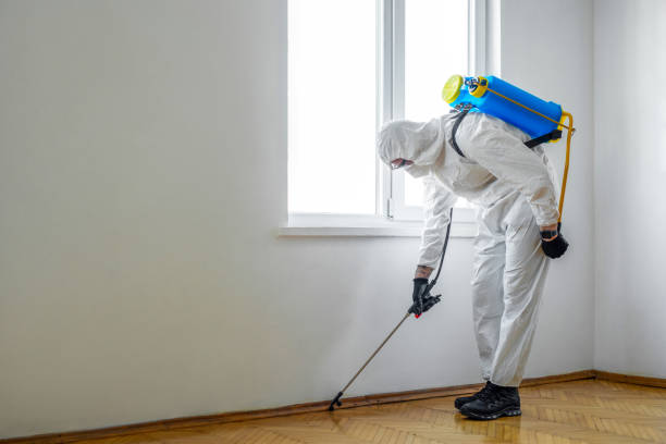 Best Pest Inspection Near Me  in Forrest, IL