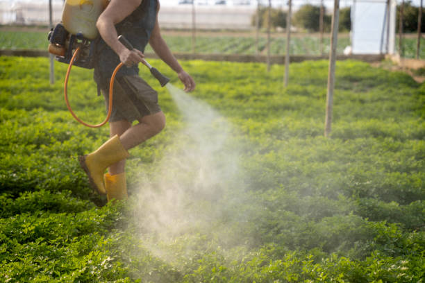Best Exterminator Services  in Forrest, IL