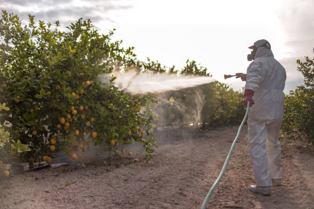 Best Wildlife Control Services  in Forrest, IL