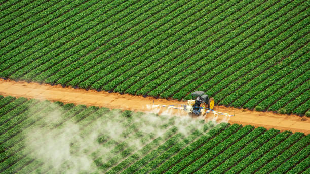 Best Pest Inspection Near Me  in Forrest, IL