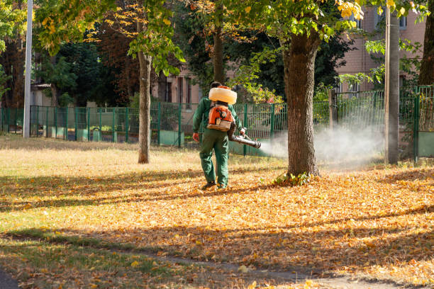 Best Flea Control Services  in Forrest, IL