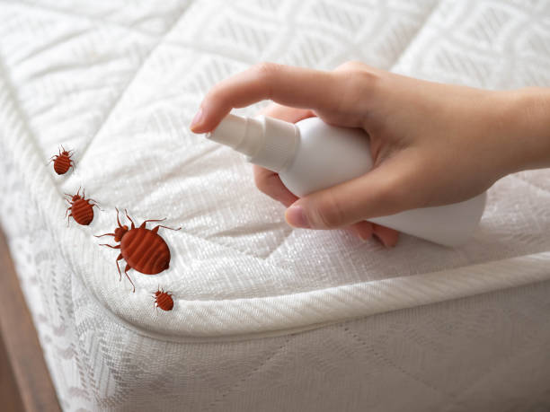 Best Mosquito Control Services  in Forrest, IL