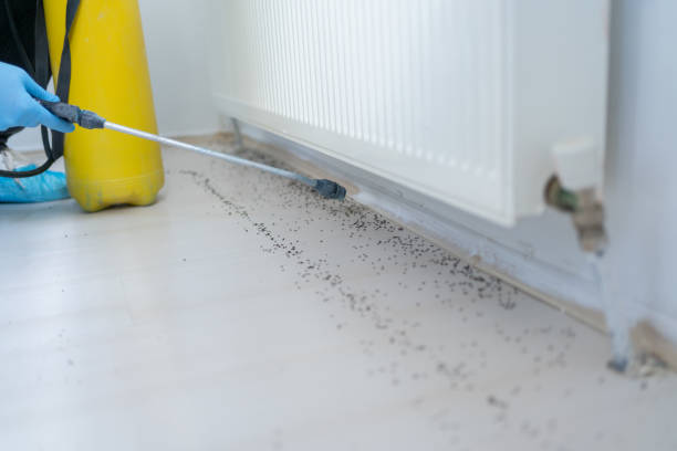 Best Affordable Pest Control Services  in Forrest, IL