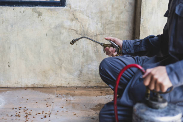 Pest Control Cost in Forrest, IL